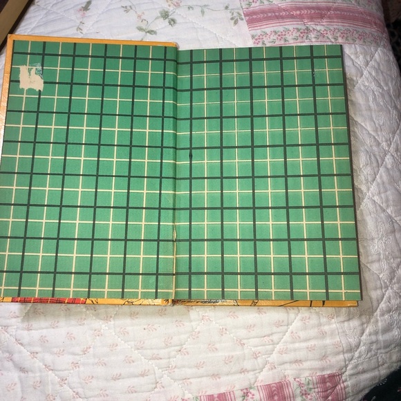 Donna Parker Takes a Giant Step Book - Picture 9 of 9